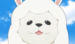 羊驼漫画,趣味横生的动物世界