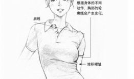 漫画女生的胸,漫画女生胸型的魅力解析